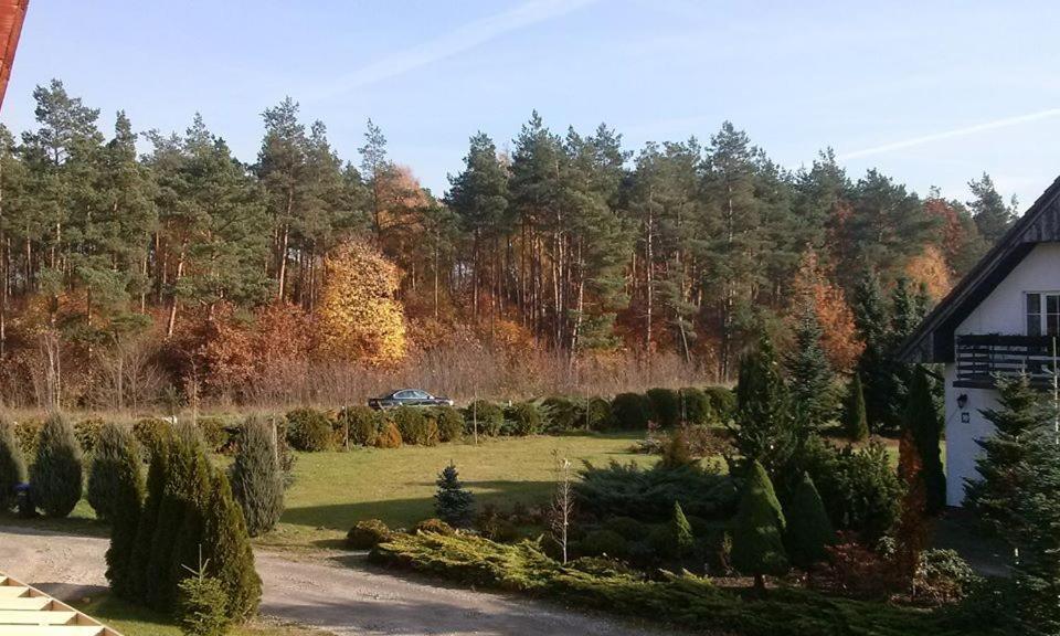 Pokoje Goscinne Przylesie Lobez Luaran gambar