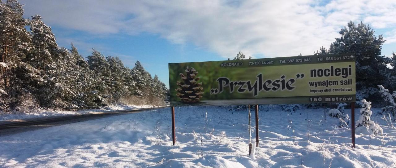 Pokoje Goscinne Przylesie Lobez Luaran gambar
